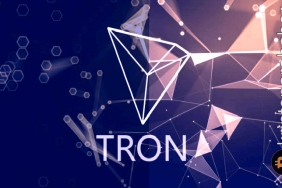 TRON yatırımcıları için dördüncü çeyrek nasıl geçecek? Bu veriler her şeyi anlatıyor