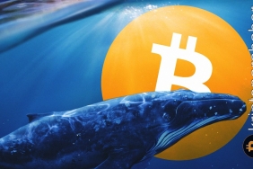 Popüler balina adresleri bu altcoinlere yöneliyor! Peki neden?