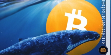 Popüler balina adresleri bu altcoinlere yöneliyor! Peki neden?