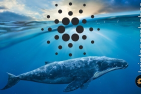 Cardano, BSC balinalarının ilgi odağı haline geldi! İşte detaylar