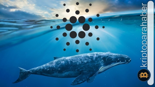 Cardano, BSC balinalarının ilgi odağı haline geldi! İşte detaylar