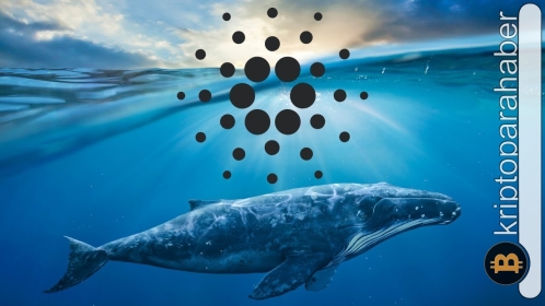 Cardano için balina alarmı: Popüler adresler ADA’ya akın ediyor