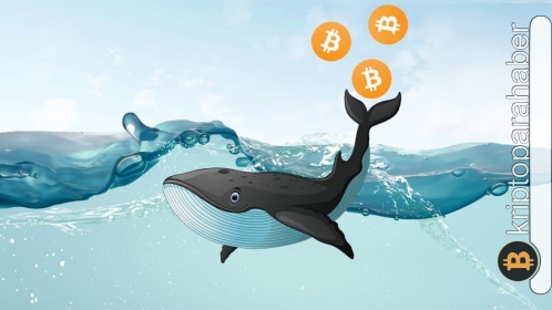 Balinalar, her şeye rağmen Bitcoin satın almaya devam ediyor! Fiyata etkisi ne olacak?