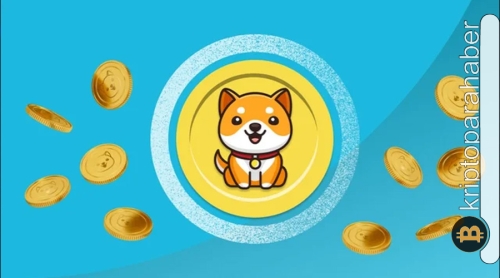 Gözde meme coin’in yakım işlemleri hızlandı! Fiyat ne zaman cevap verecek?