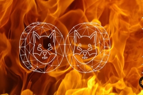 Shiba Inu yakım oranı düşüşü neden yaşanıyor?