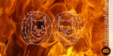 Shiba Inu yakım oranı düşüşü neden yaşanıyor?