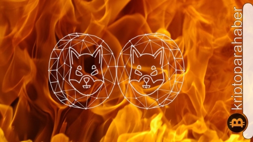 Shiba Inu yakım oranı düşüşü neden yaşanıyor?