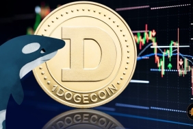 En büyük Dogecoin balinası 4 milyar DOGE taşıdı! Elon Musk mı?