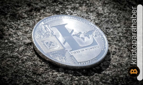 LTC ayıları güçlerine güç katarken, boğalar ne zaman savunmaya geçecek?