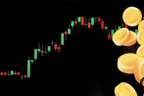 Kripto piyasasında pozitif görünüm devam ediyor…