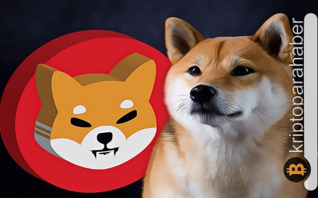 Shiba Inu, yılın son gününde yeni bir dönüm noktasına ulaştı! Yakım işlemleri hızlanıyor
