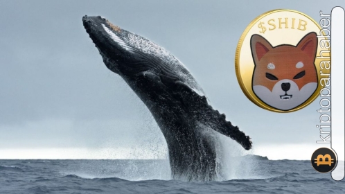 Shiba Inu, fiyat durgunluğuna rağmen hâlâ balinaların gözdesi! Bu, bir yükseliş işareti olabilir mi?