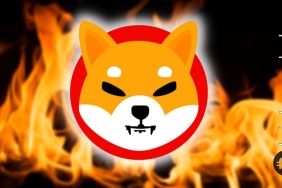 Shiba Inu yakım oranı %900 arttı! Neler oluyor?