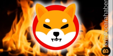 Shiba Inu yakım oranı %900 arttı! Neler oluyor?