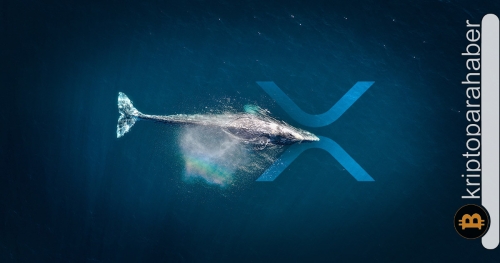 XRP balinalarından büyük satışlar geliyor! Fiyat, kritik seviyelerin üzerinde tutunabilecek mi?