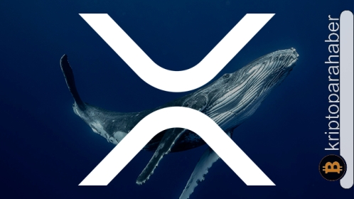 XRP balinasından 52 milyon dolarlık büyük hareket! Fiyatı iyileştirmeye yetecek mi?