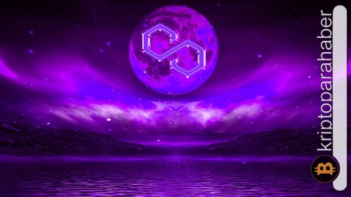 Polygon fiyat tahmini: Balina etkinliğindeki artış net bir yöne işaret ediyor mu?