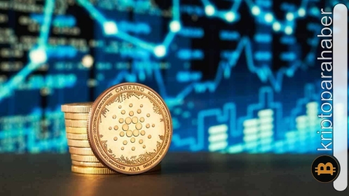 Cardano ağındaki yenilikler geliştiriciler tarafından açıklandı!