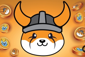 SHIB rakibi Floki Inu yükselişini sürdürüyor! Peki neden?