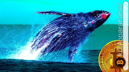 Balina adresleri Ekim ayından bu yana 10 milyar dolar değerinde BTC sattı!
