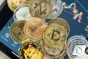 Kripto piyasasının en çok kazananları: Bu varlıklar piyasaya yön veriyor