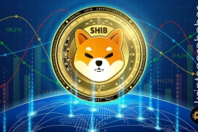 Shiba Inu teknik göstergeleri tersine dönüşe işaret ediyor! İşte izlenecek seviyeler