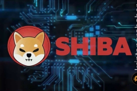 Shiba Inu için 2023 planları belli oldu! Beklenen yükseliş gelecek mi?