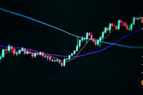 Polygon fiyatında yeni bir boğa modeli beklenebilir: İşte hedef fiyat!