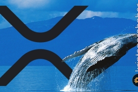 Balinalar XRP birikimine devam ediyor! Devasa işlemler kaydedildi