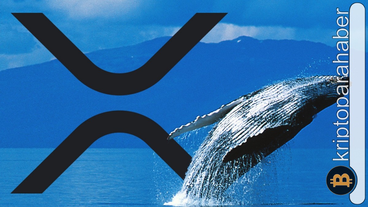 Balinalar XRP birikimine devam ediyor! Devasa işlemler kaydedildi