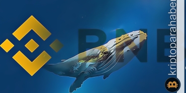 XRP, BSC balinalarının ilgi odağı haline geldi!