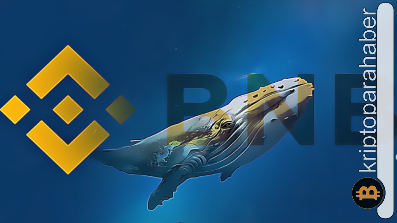 XRP, BSC balinalarının ilgi odağı haline geldi!