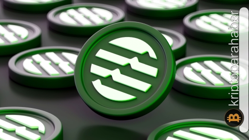 Ocak ayına damga vuran bu altcoin, önümüzdeki ay bir düzeltme ile karşı karşıya kalabilir!