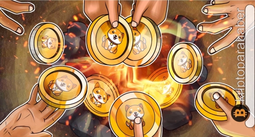 BabyDoge, yakım işlemlerini hızlandırdı! Fiyata etkisini ne zaman göreceğiz?