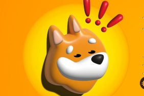 BONK yakım işlemlerinden sonra daha çok büyüyebilecek mi?