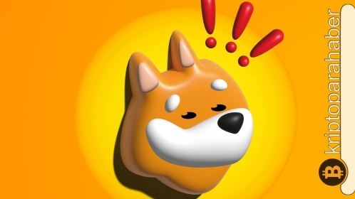 BONK yakım işlemlerinden sonra daha çok büyüyebilecek mi?