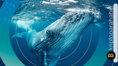 Bir MATIC balinası beklenmeyen satışı ile dengeleri bozdu! İşte, bu hareketin sebebi…