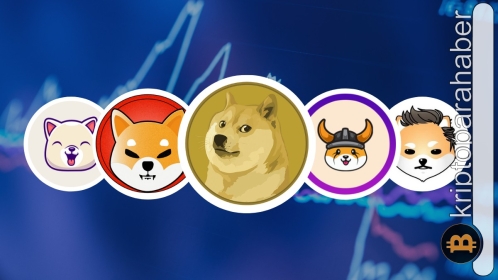 Bu token için yakım önerisi sunuldu: Fiyat aniden %14 yükseldi