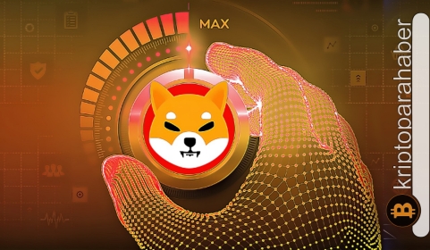 Shiba Inu, yeni yıldaki ilk büyük rallisine hazırlanıyor! İşte, takip edilmesi gereken kritik seviyeler