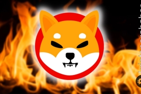 SHIB topluluğu yakım işlemlerine hız kesmeden devam ediyor! Beklenen yükseliş geliyor mu?