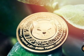 Shibarium Beta geliyor: Ekip tarafından onaylandı…