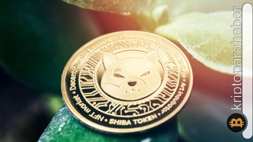 Shibarium Beta geliyor: Ekip tarafından onaylandı…