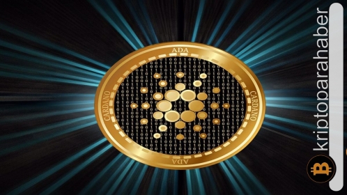 Cardano yükseltmesinin tarihi belli oldu! Ağda neler değişecek?