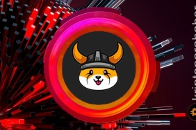 Yakım haberleri bu meme coini canlandırdı! Fiyat yükselişini sürdürüyor