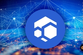 Flux coin son günlerde neden yükseliyor? İşte tüm ayrıntılar
