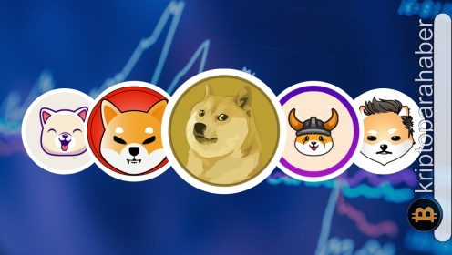 Ocak ayında bu 5 meme coin’e dikkat! Satın almak için en doğru zaman olabilir