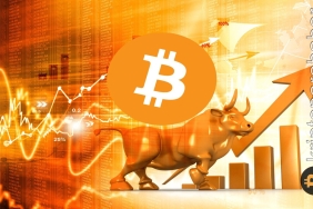 CryptoQuant CEO'su: "Bitcoin için boğa sezonu başladı"