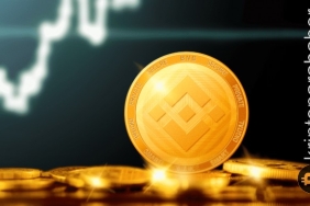 BNB fiyat analizi: Binance Coin fiyatı grafiklerde güçlü görünüyor!