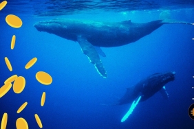 2023 Hype yılı yapay zeka coin’leri mi? Balinalar çoktan yüklendi!