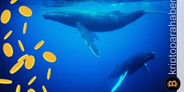 2023 Hype yılı yapay zeka coin’leri mi? Balinalar çoktan yüklendi!